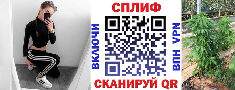 МАРИХУАНА сатива даркнет сайт Елабуга