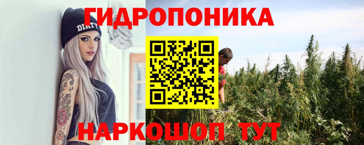 Каннабис семена Елабуга