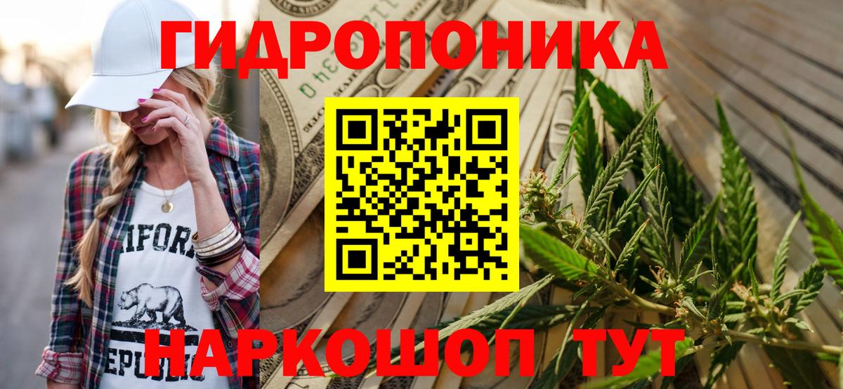 Бошки Шишки сатива  Вход с VPN  Конопля план  Елабуга 